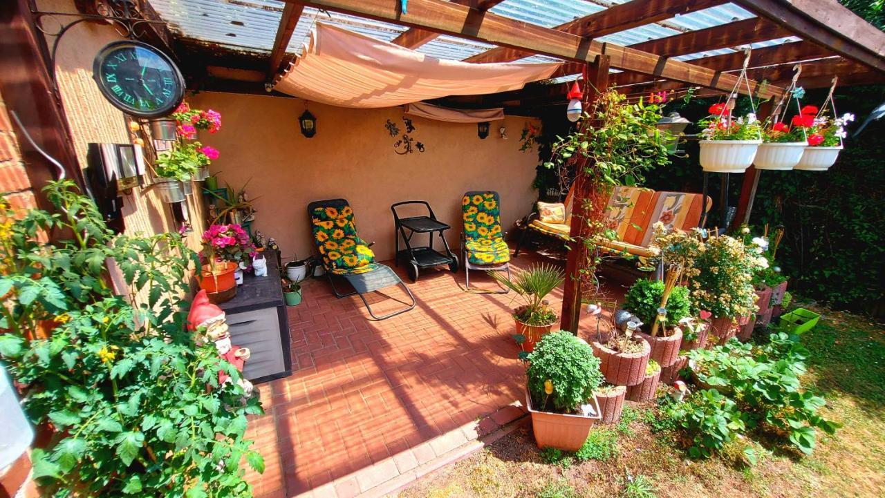 Rummy's Mit Garten Wernigerode
