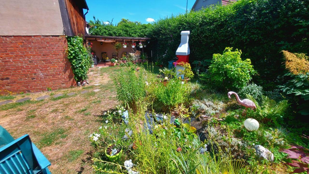 Rummy's Mit Garten Apartment *
